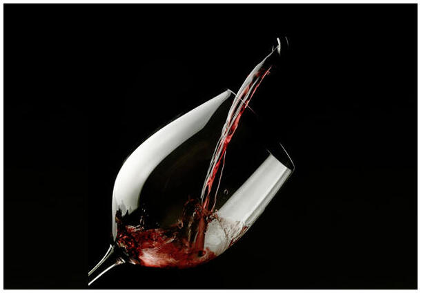 Unsere Organisation – Ihr Vorteil